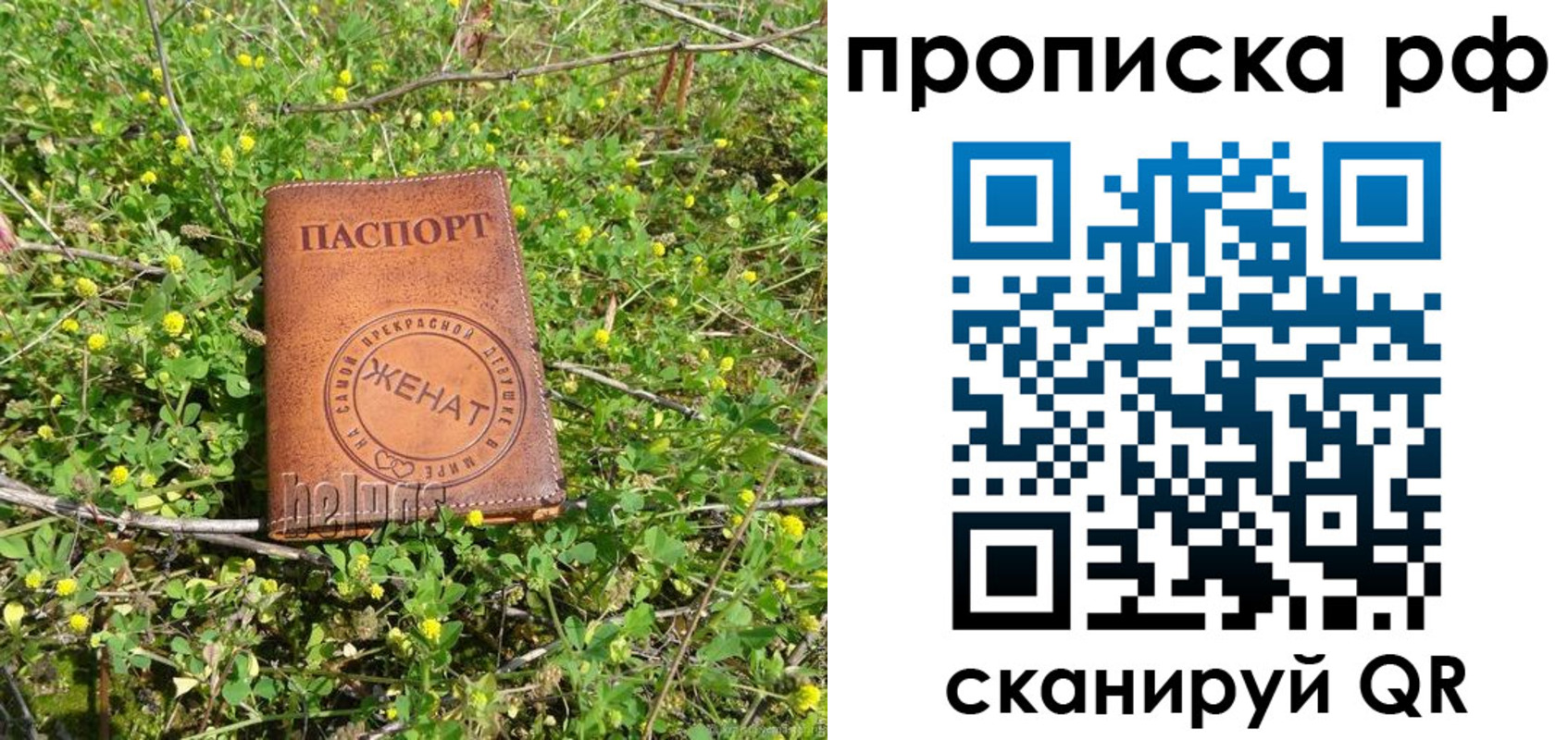 прописка паспорт в Тереке
